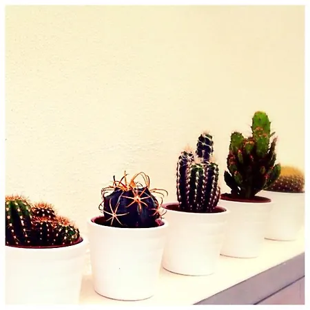 Appartement Viagiusti 51 *