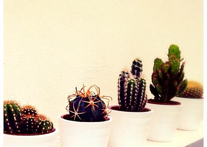 דירה Viagiusti 51 *