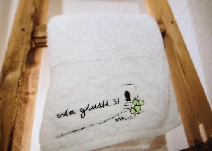 Viagiusti 51 公寓 奥斯图尼